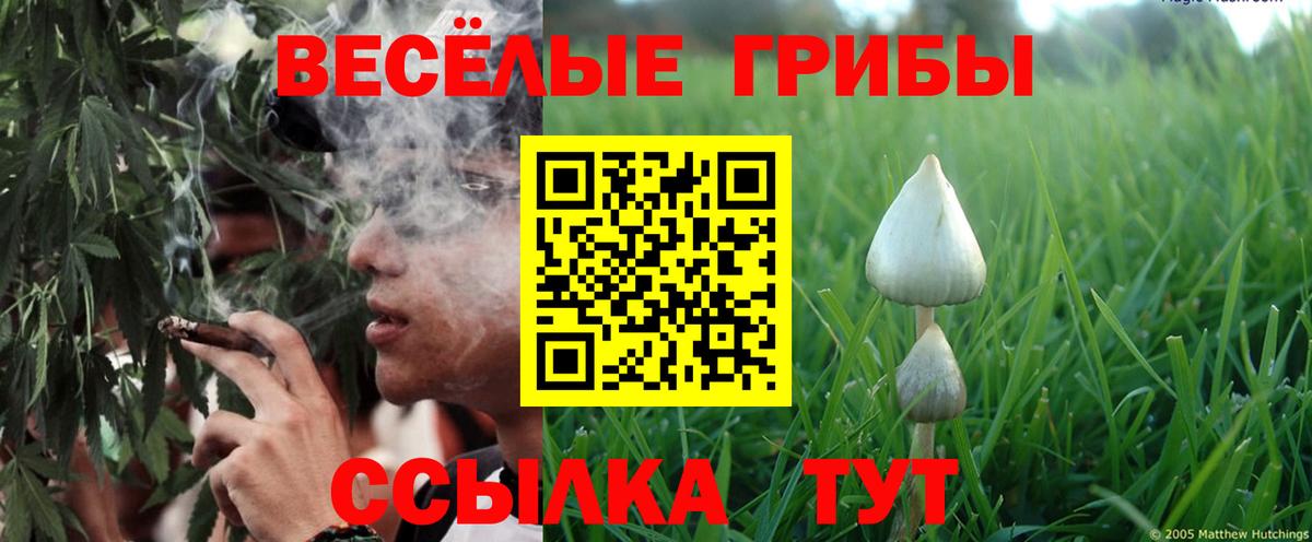 Псилоцибиновые грибы прущие грибы  Галлюциногенные грибы GOLDEN TEACHER  Старая Купавна  Вход с VPN 
