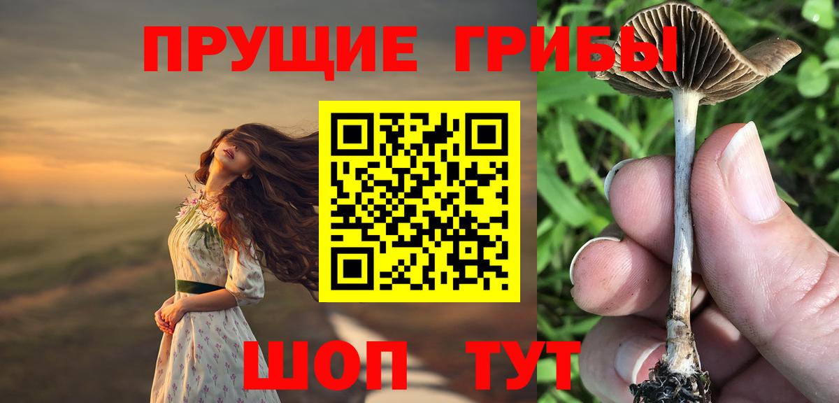 Галлюциногенные грибы мицелий Старая Купавна